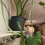Urban Capsule Отель