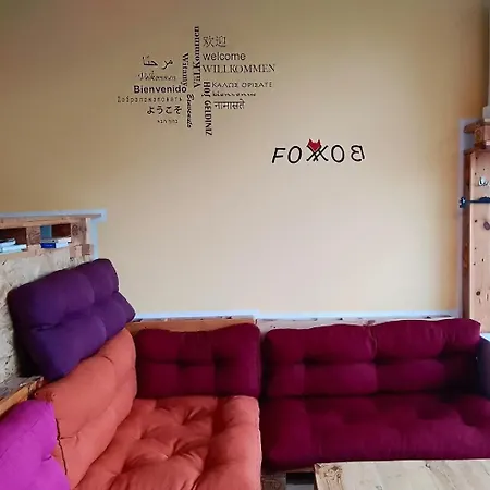 Fox Box I Capsule Drážďany