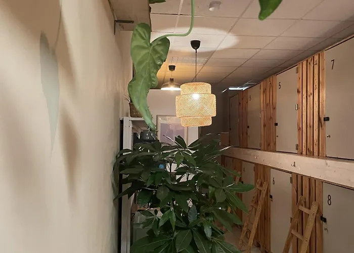 Urban Capsule דרזדן