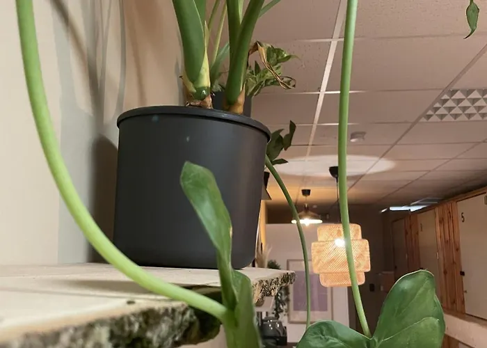 Urban Capsule מלון