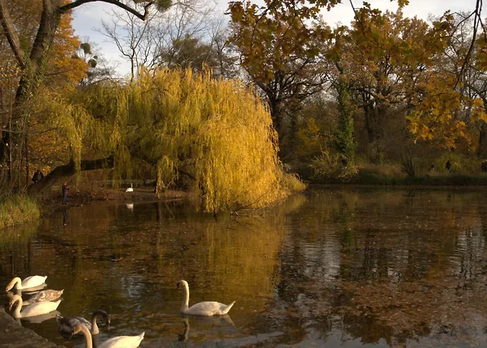 Urban Capsule Otel 3*